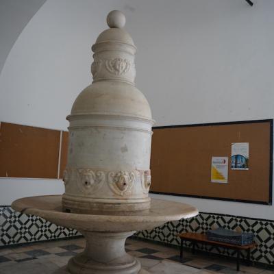 Dsc00613
